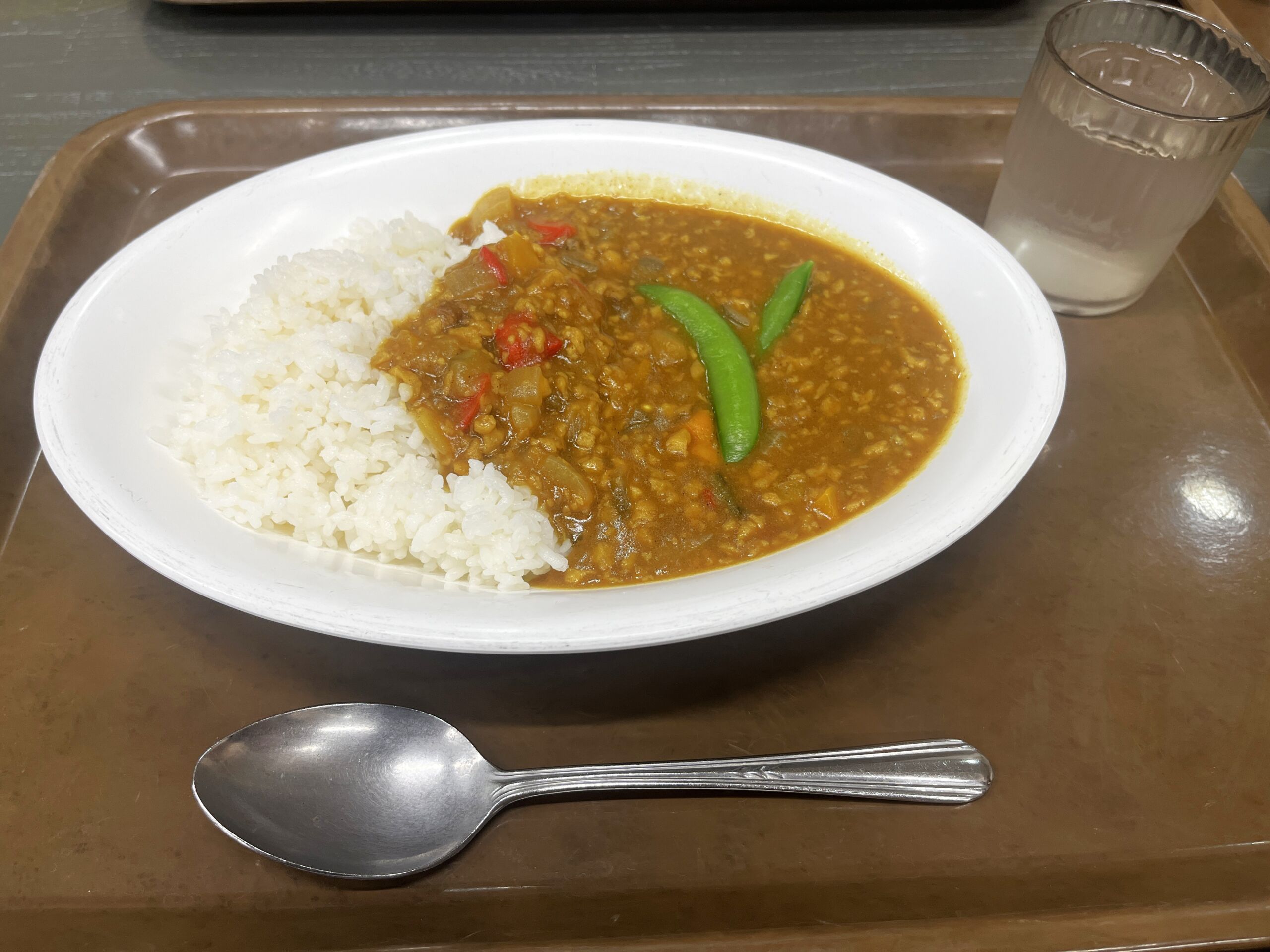 北区ヴィーガンメニューのカレーの写真
